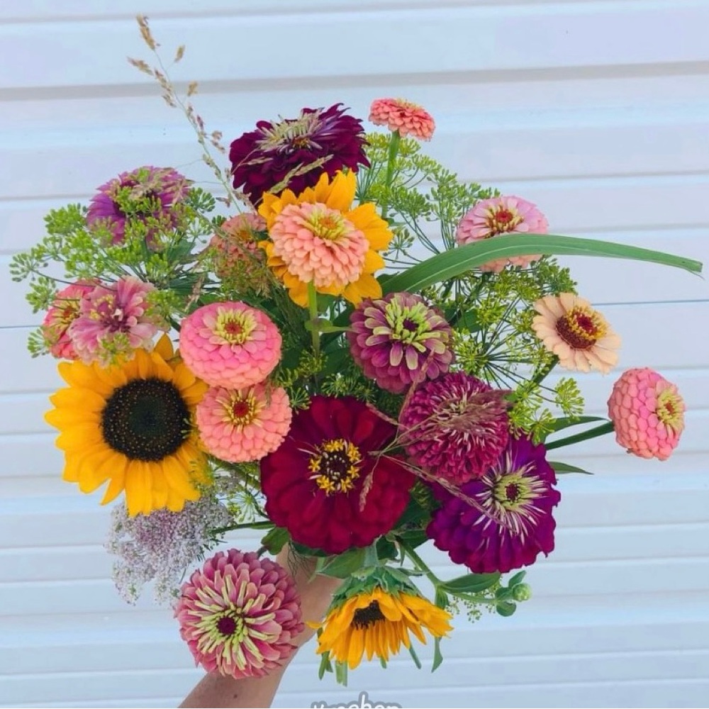 Meet your Posher, Karen